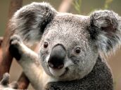 bannerImage1