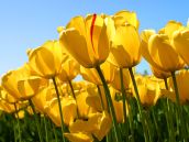 bannerImage2
